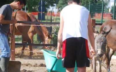 16 maggio: incontro di presentazione del progetto “Start Up”